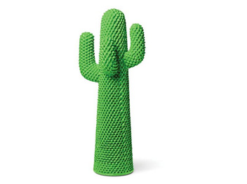 cactus guffram in location